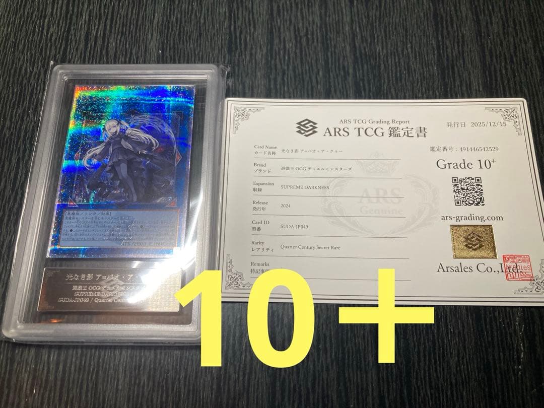 ARS10＋ 光なき影 ア＝バオ・ア・クゥー 25th クオシク 鑑定書付き