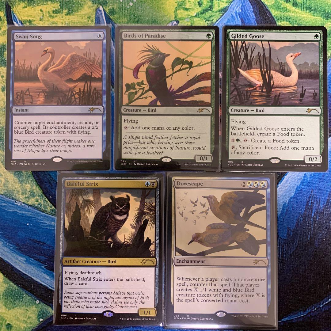 Secret Lair　Ornithological Studies