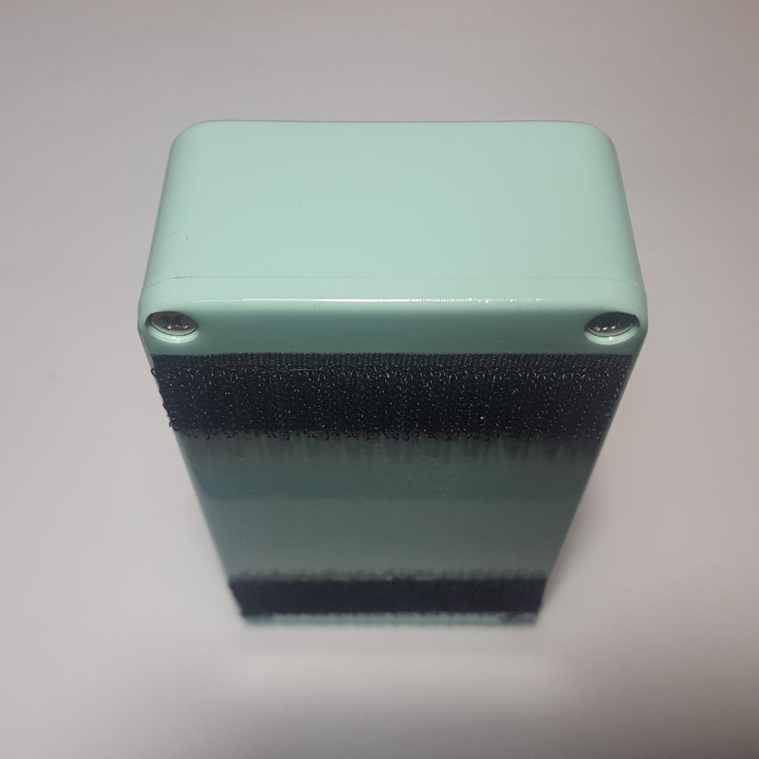 ギター ANIMALS PEDAL FISHING IS AS FUN AS FUZZ