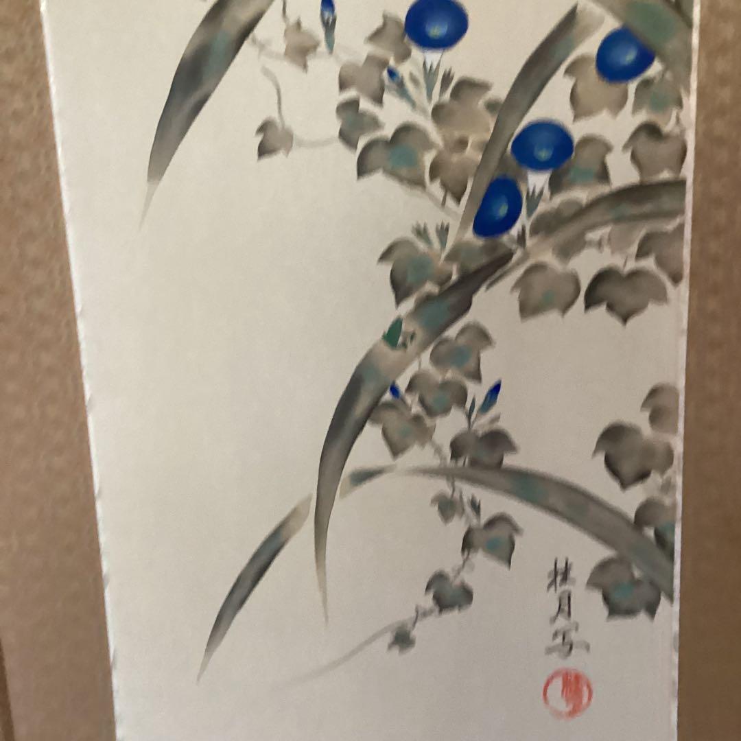 池田桂月筆　酒井抱一写　【　7月 玉蜀黍朝顔に青蛙図　】絹本掛軸一幅　　457