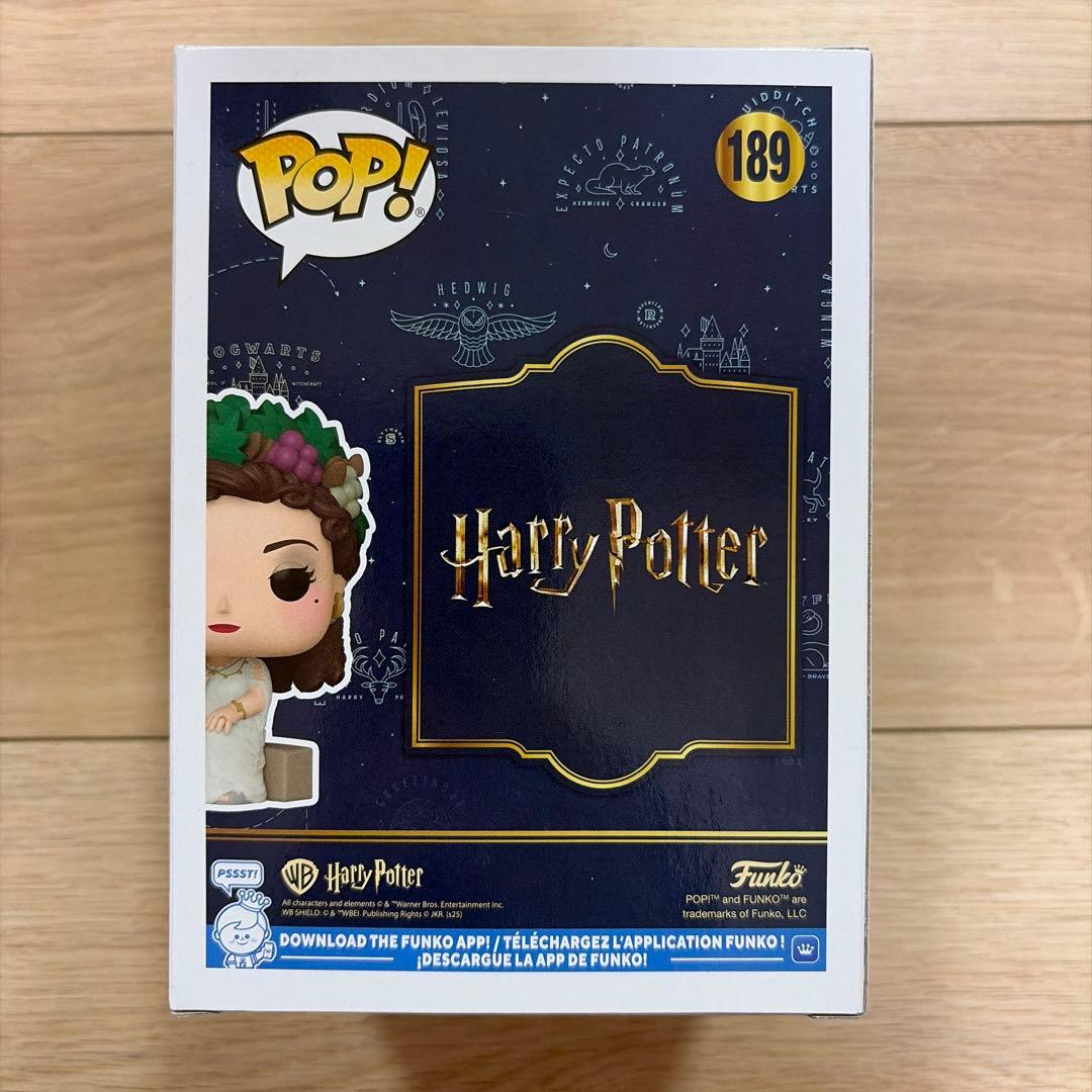 【超希少】Funko The Fat Lady 太った婦人 LE3500体