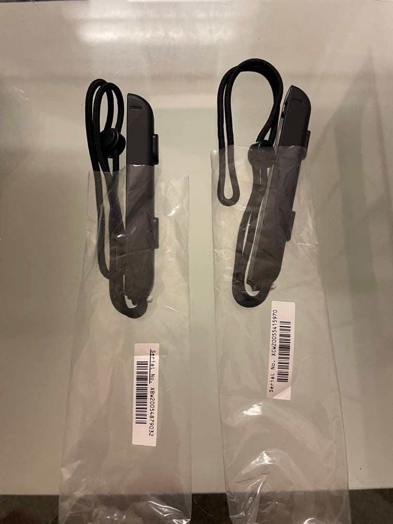 Nintendo Switch 本体　アルセウスコントローラー　クリアケース付き