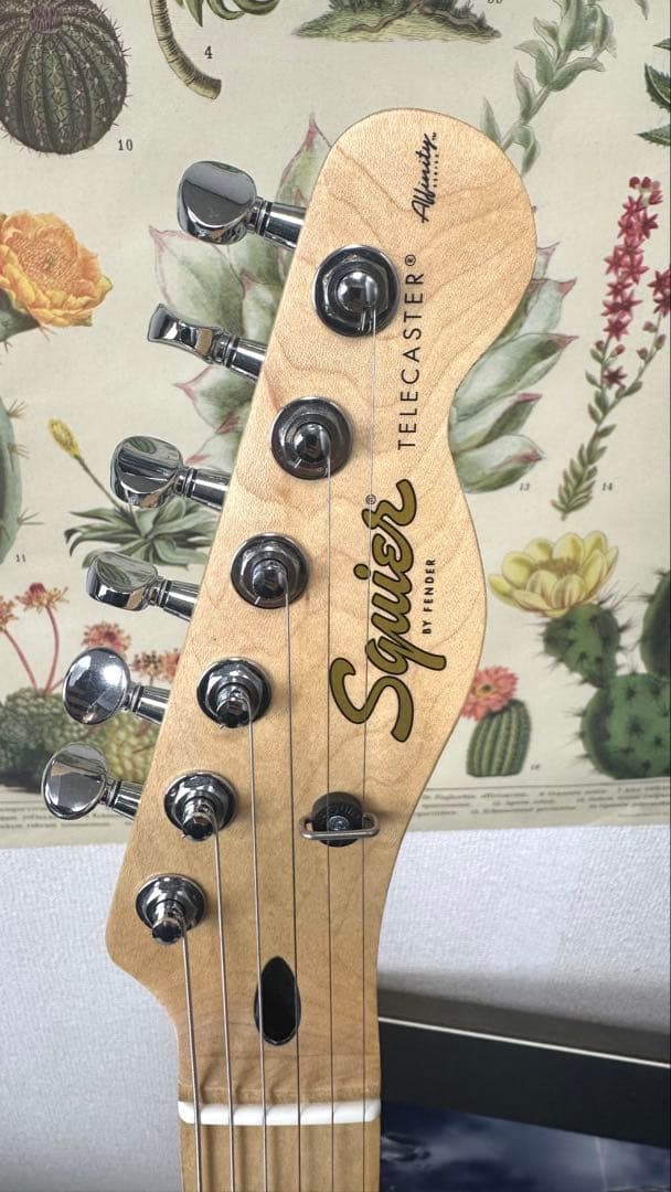 Squier Affinity Telecaster　 MOD