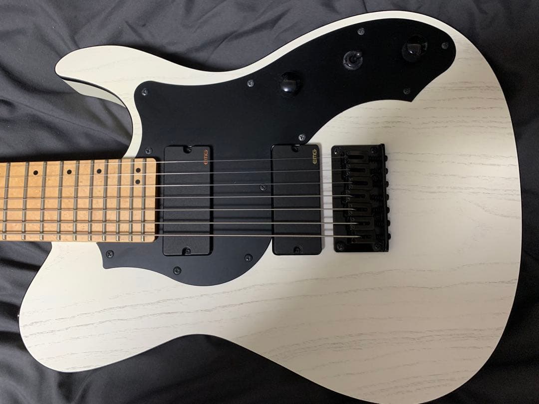 FUJIGEN(FGN) JIL7-ASH-DE-M (OPW) 7弦　フジゲン