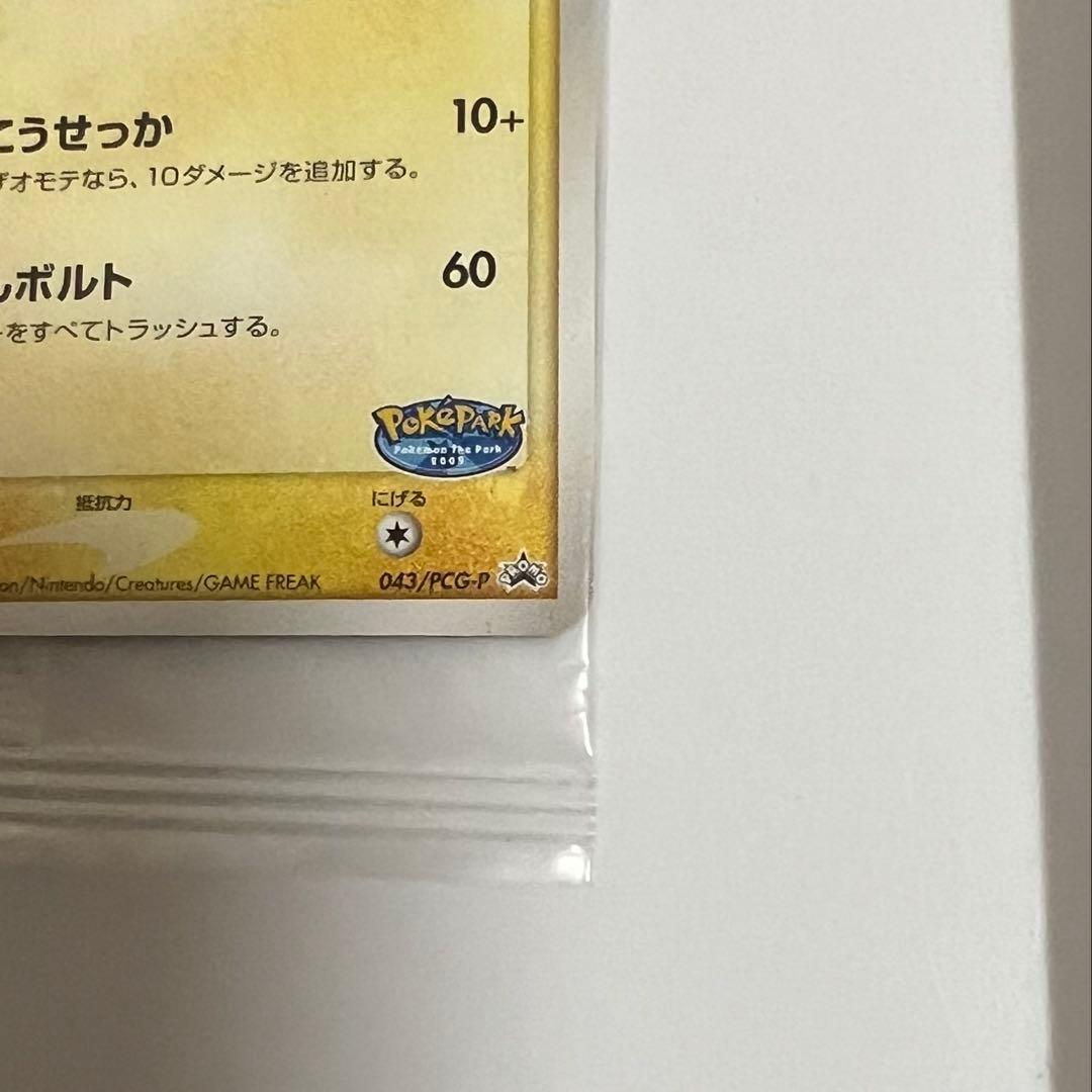 ポケパークのピカチュウ 未開封
