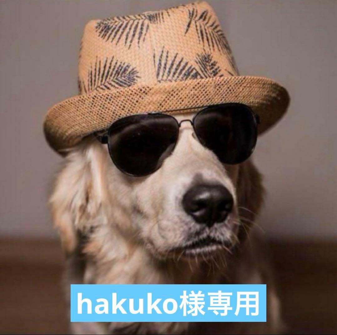 その他 hakuko