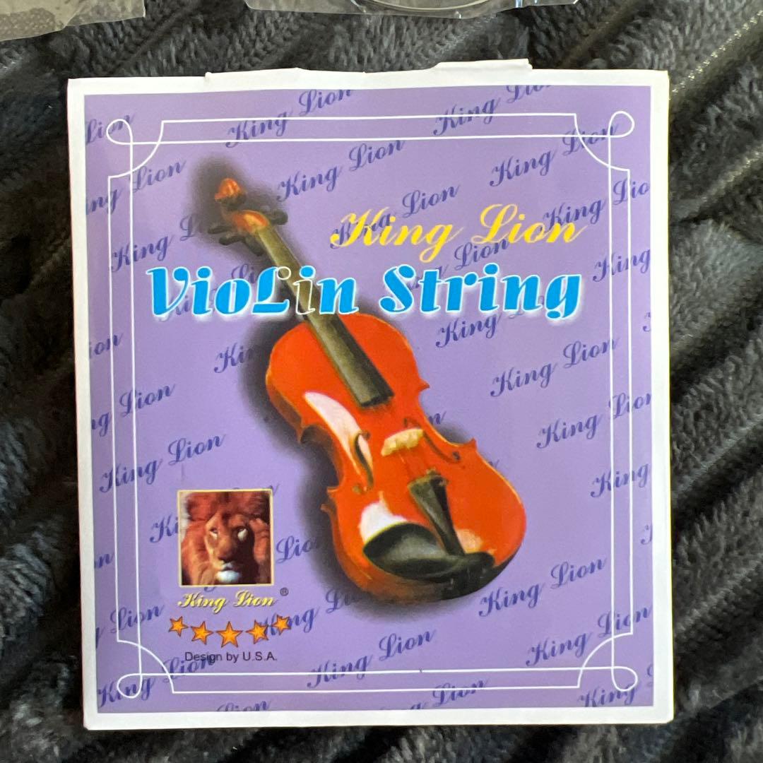 【美品｜ケース付】HALLSTATT ハルシュタット V-12