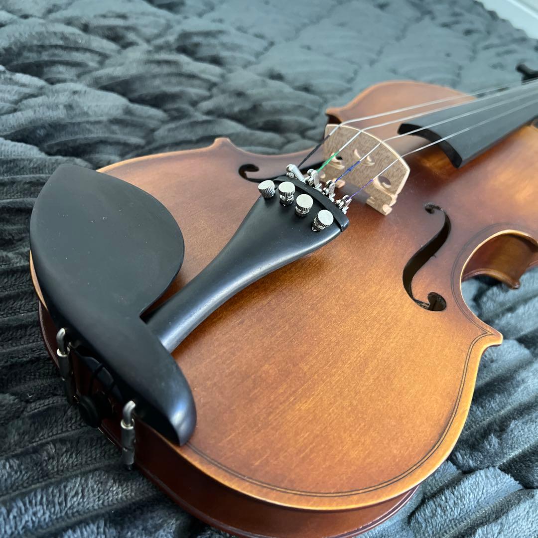 【美品｜ケース付】HALLSTATT ハルシュタット V-12