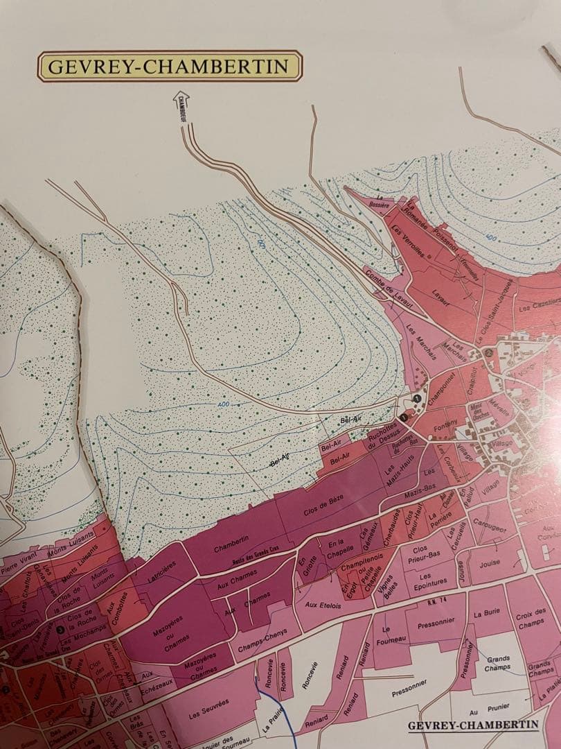 【大型額装美品】ブルゴーニュ（ワイン）南北の詳細な葡萄畑の地図