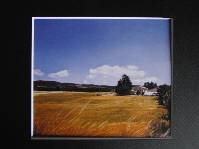 中尾新也、ソーに続く道から、希少な画集より、新品高級額、額装付