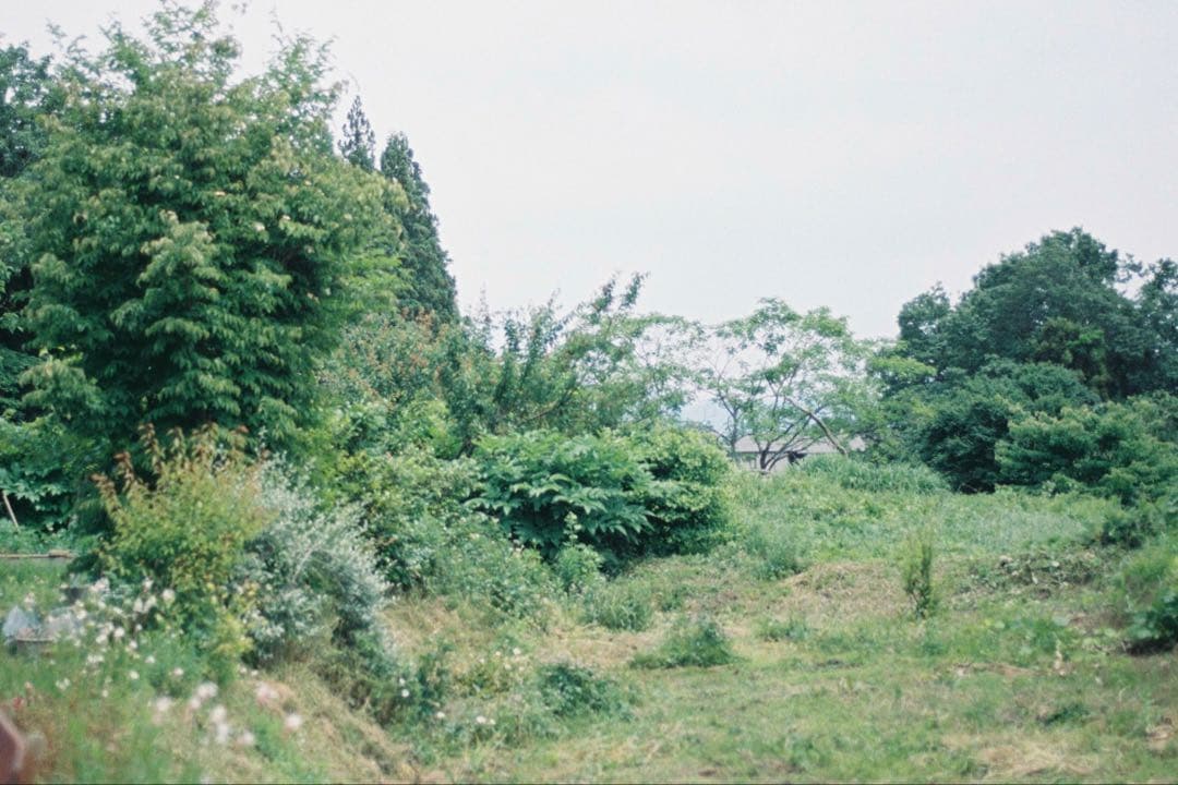 CanonAE-1 PROGRAM FD50mm F1.4フィルムカメラ 一眼