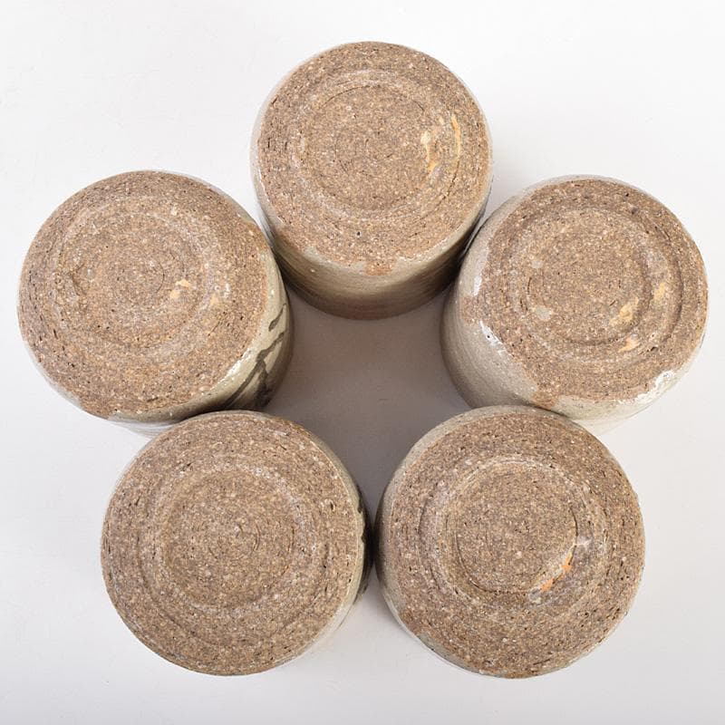 常滑焼　常石窯　中村勝明作　絵唐津写　草文　深向付　五客　共箱　V　R4998B