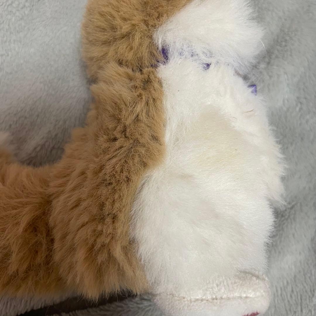 藤原樹 過去~プラスパ グッズ まとめ売り まとめ フォトカ アクスタ