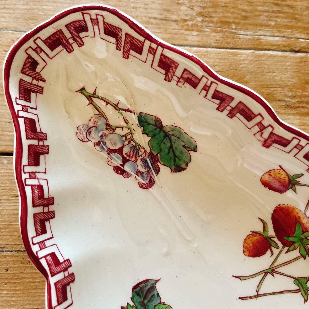 A サルグミンヌU&Cie 美しいフルーツと花のラヴィエ