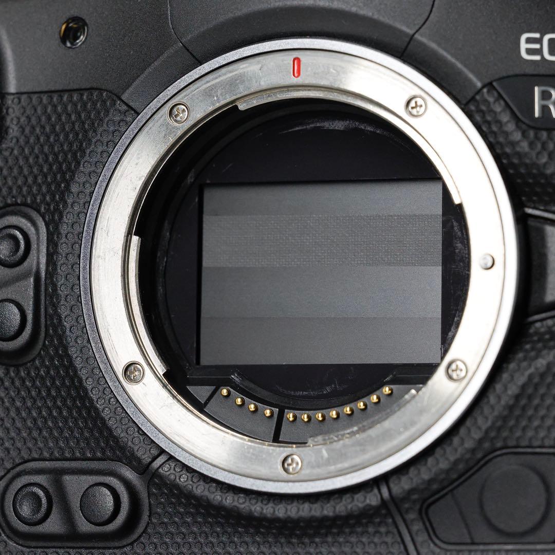 【バッテリー2個付き】Canon EOS R3