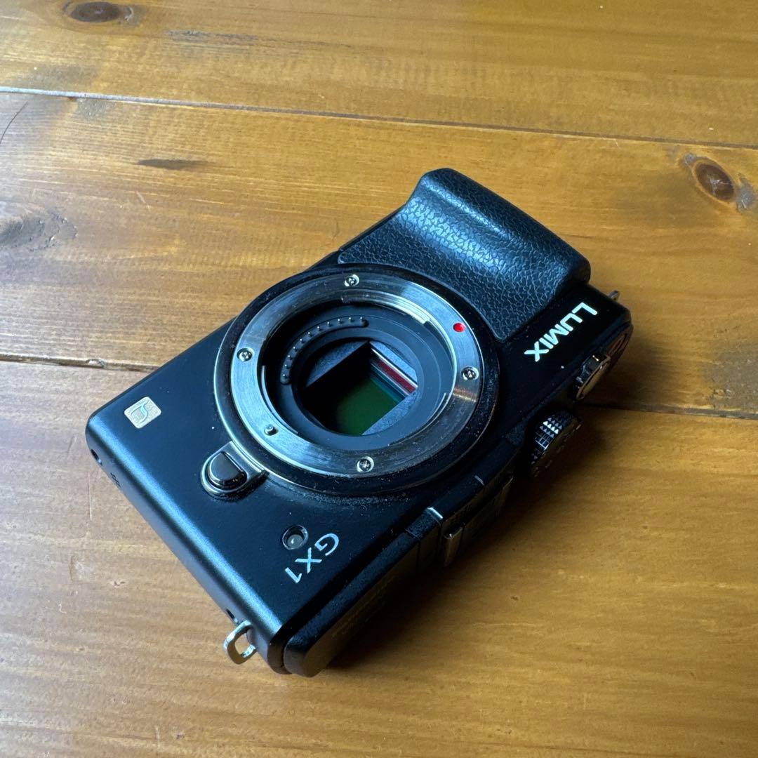 Panasonic LUMIX GX1 ミラーレス一眼 本体と充電器