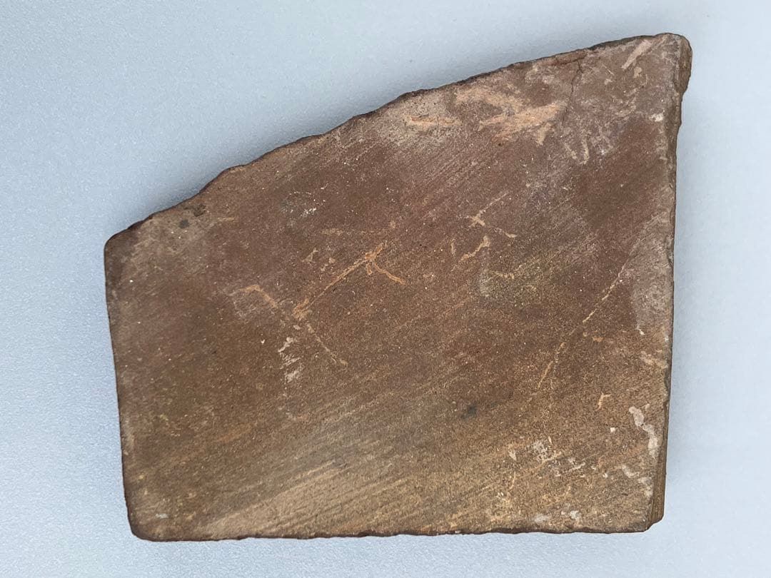 化石　原石　アンモライト　アンモナイト　幅4.4cm カナダ産　置物　箱付き