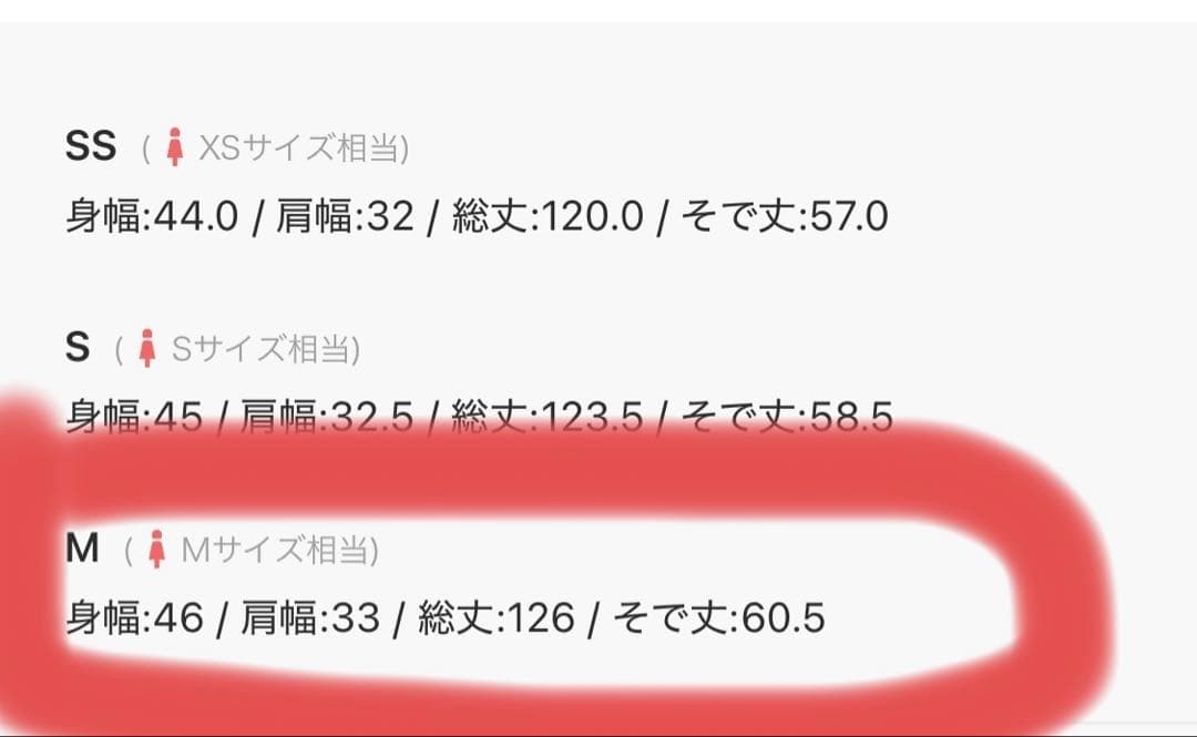 Kana モチーフレース シアーワンピース /オケージョンドレス / グレー