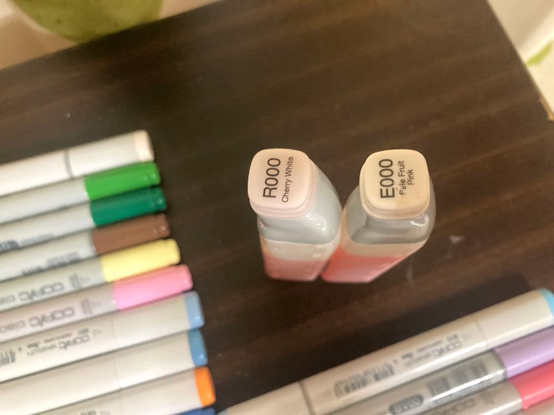 Copic Sketch、Copic Ciao、バリオリスインクの合計147本
