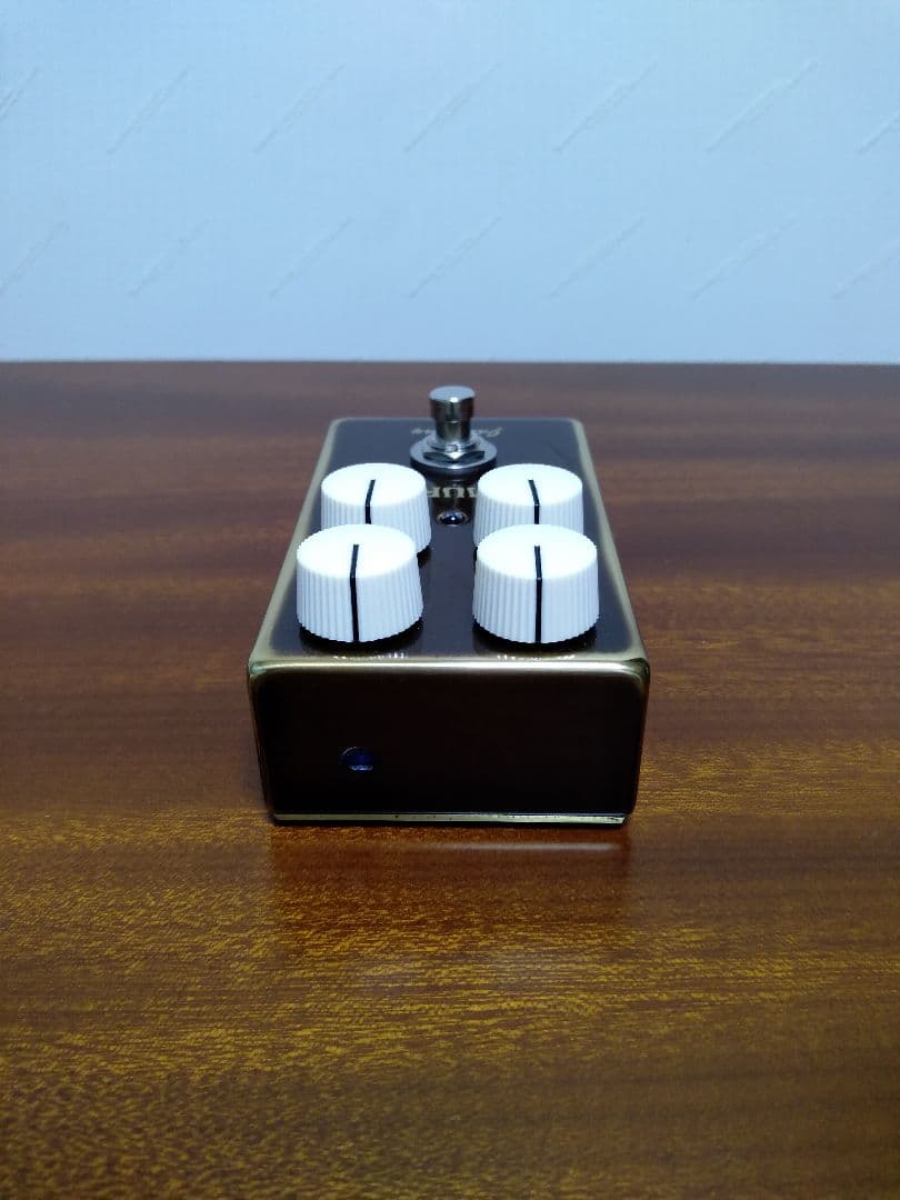 ギター VEMURAM / Jan Ray