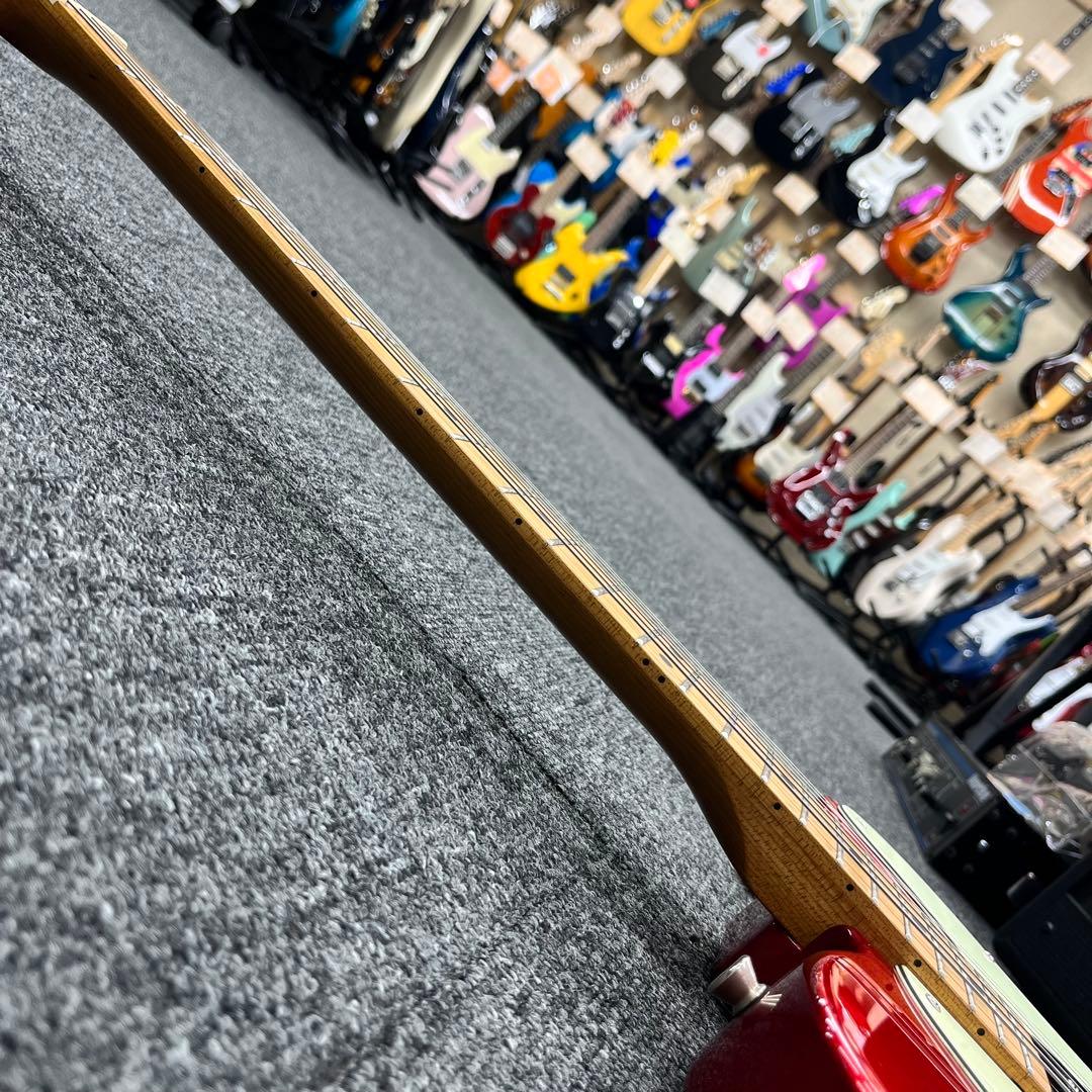 【ソフトケース追加、直接引き取り11294】Bacchus BTE-2-RSM