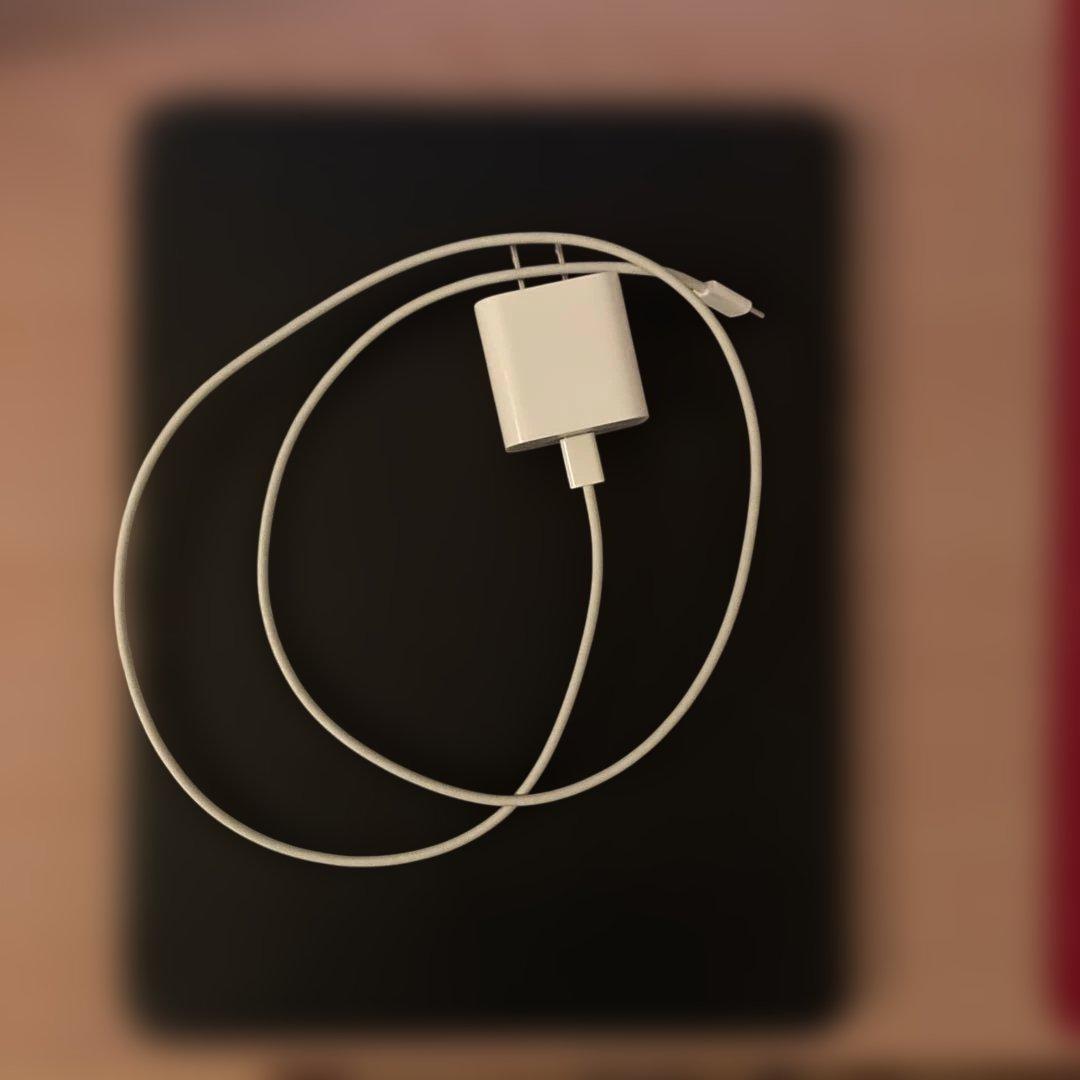 Apple iPad pro 12.9 第3世代 256gb wifiモデル