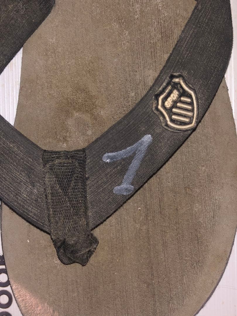 映画GRANBLUEのモデルジャックマイヨール の直筆サインの虎と彼のビーサン