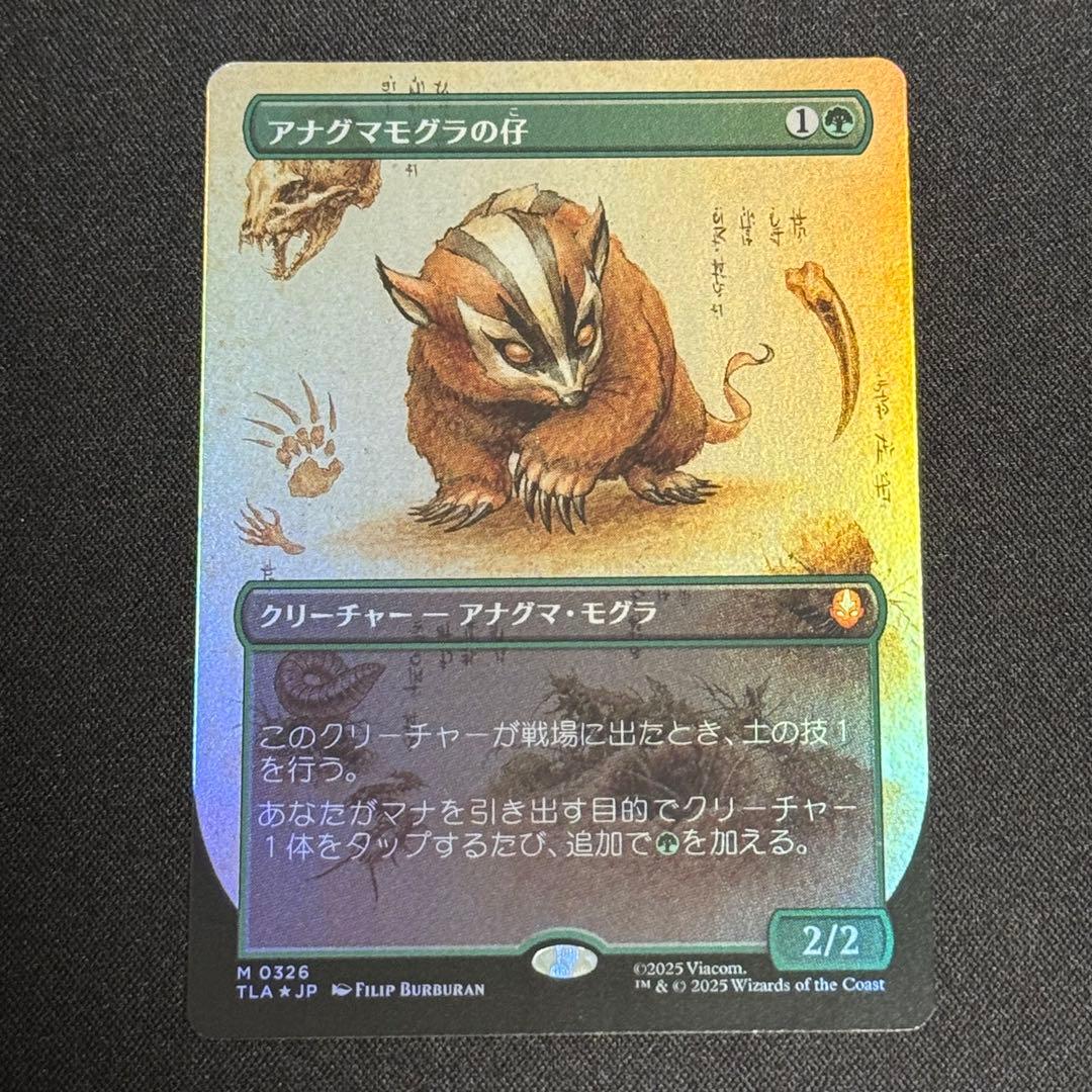 《アナグマモグラの仔/Badgermole Cub》日Foil