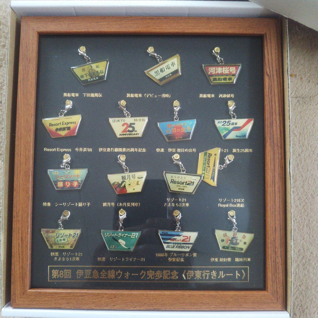 伊豆急行全線ウォーク完歩記念