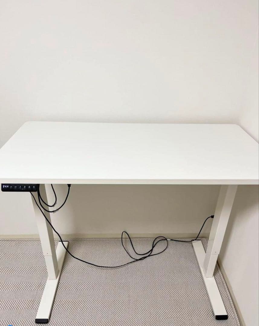 Flexispot 電動昇降デスク　EF1