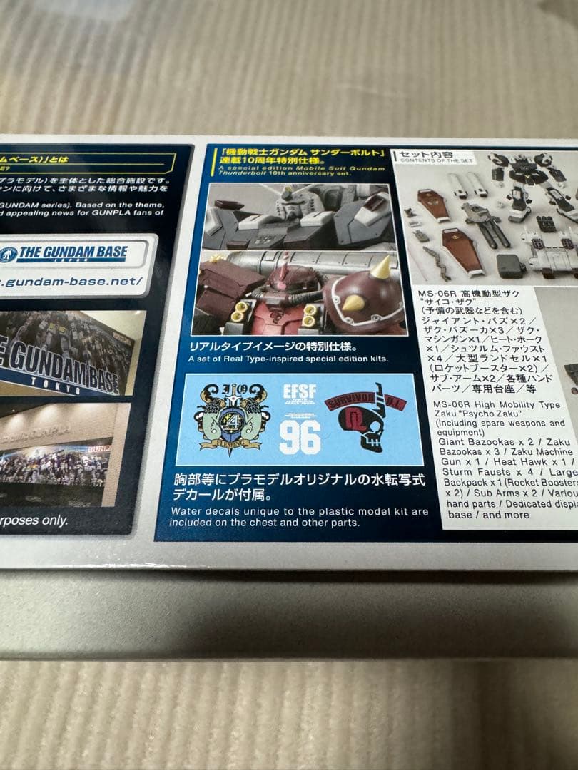 HG 1/144 ガンダムサンダーボルト 10周年記念版　2体セット　未組み立て