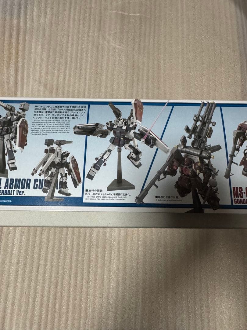 HG 1/144 ガンダムサンダーボルト 10周年記念版　2体セット　未組み立て