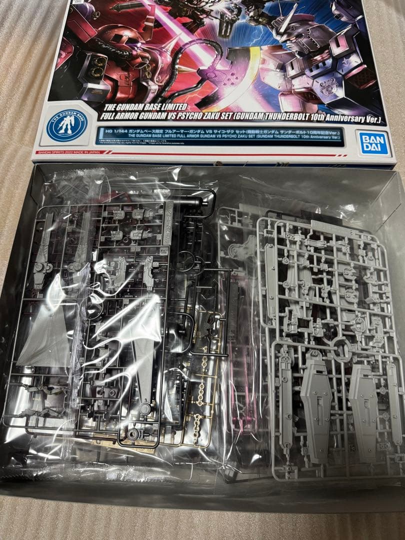 HG 1/144 ガンダムサンダーボルト 10周年記念版　2体セット　未組み立て