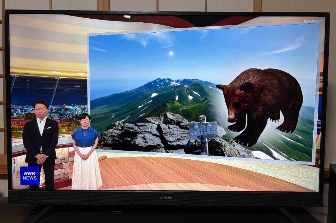 MAXZEN 55型 デジタルフルハイビジョン 液晶テレビ JU55SK03