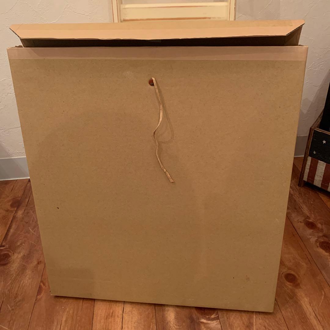 レオナルド・ダ・ヴィンチ　ほつれ髪の女