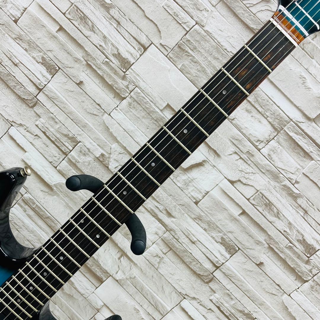 Fernandes フェルナンデス THE FUNCTION エレキギター