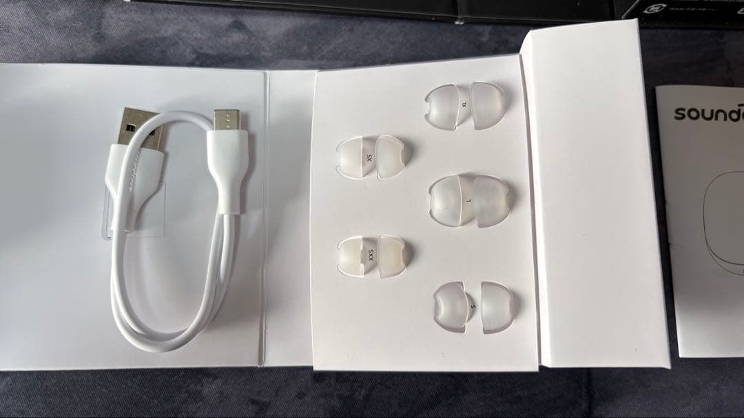 【美品 動作品】Soundcore Liberty4Pro(ケース付)