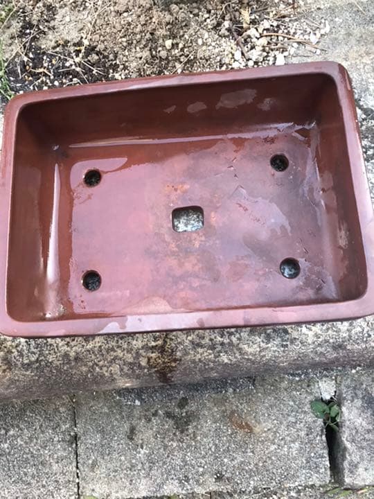 盆栽鉢　時代長方盆栽鉢水庄園