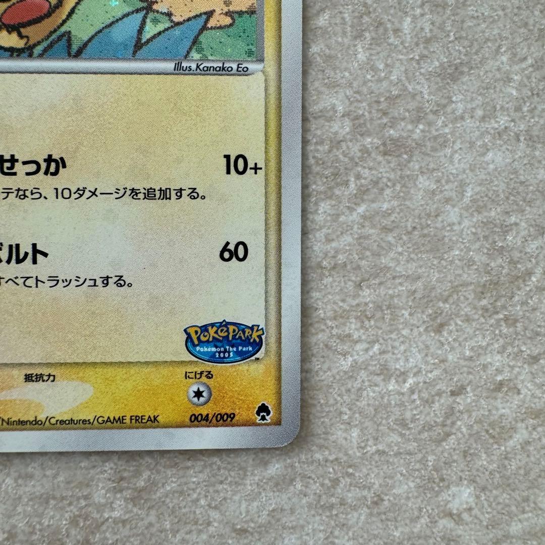 ポケパークのピカチュウ　004