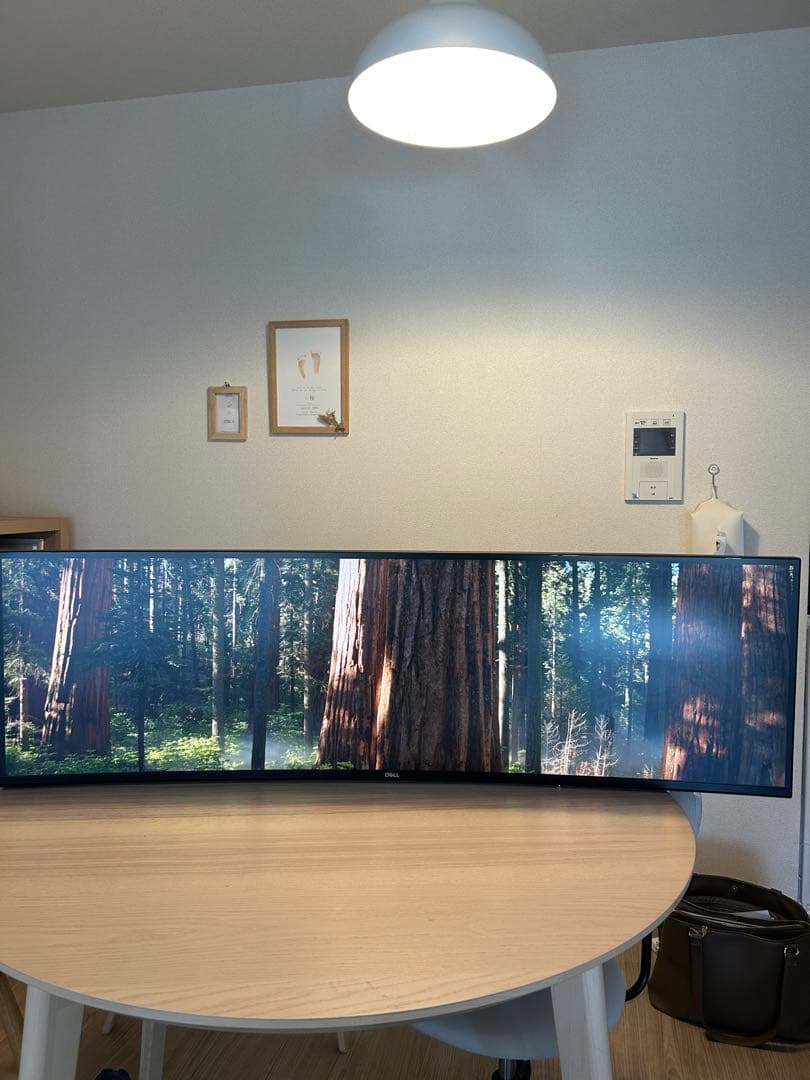 [即購入可能]Dell 49インチ 曲面 ウルトラワイドモニター