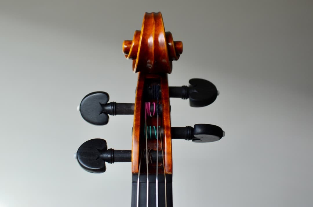 【極虎杢 新品】Gliga Vasile Maestro バイオリン 4/4