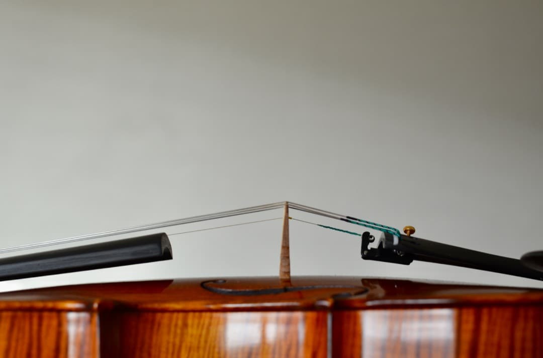 【極虎杢 新品】Gliga Vasile Maestro バイオリン 4/4