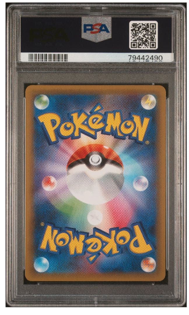 【PSA10 3枚セット】25th リザードン フシギバナカメックス psa10