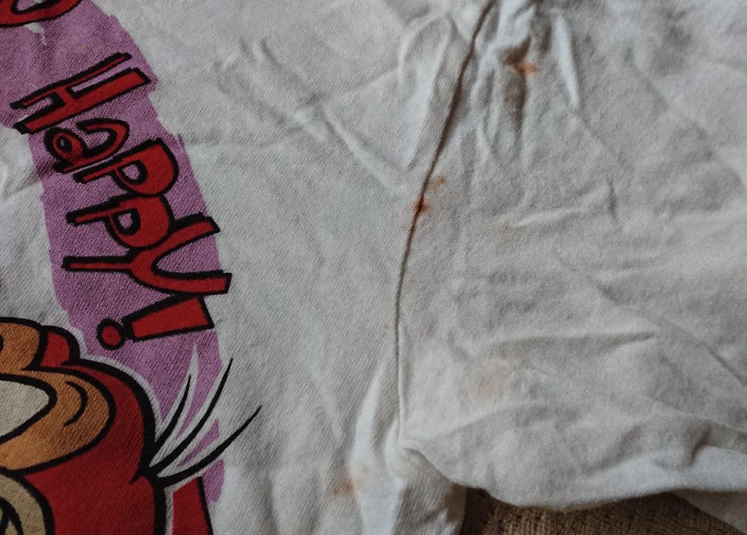 REN & THE STIMPY ビンテージ MTV Tシャツ VINTAGE