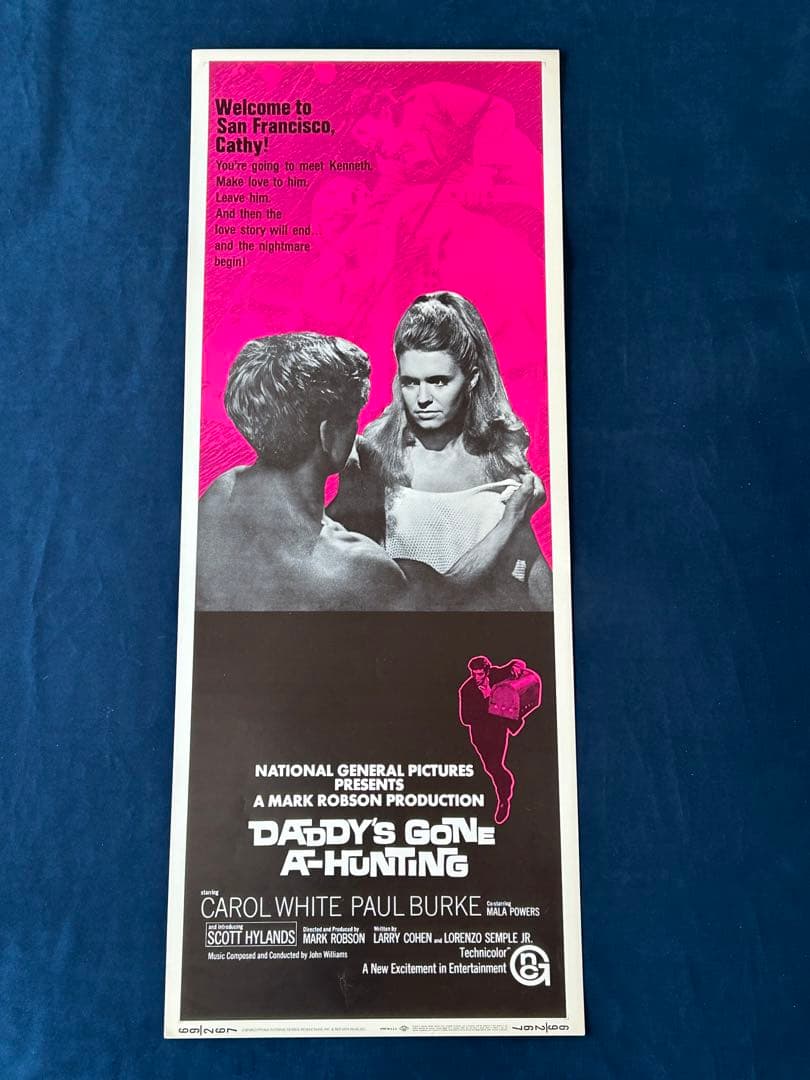 屋根の上の赤ちゃん　USオリジナル映画ポスター