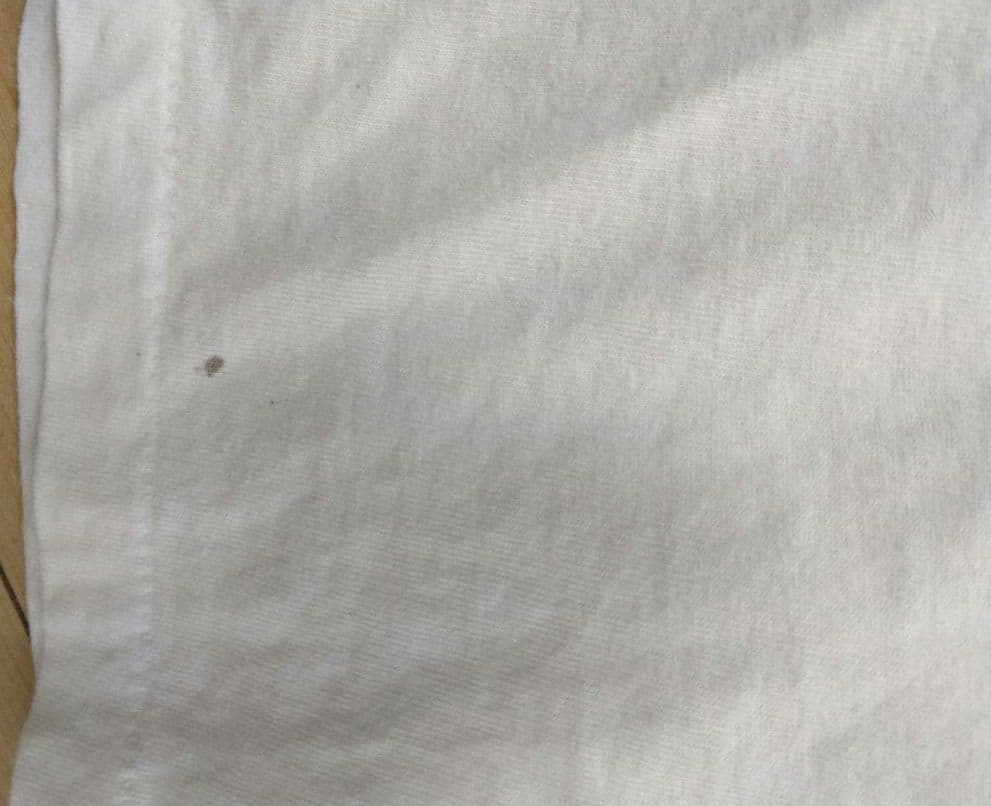 Beastie Boys Tシャツ 90s 前半購入 Hanes