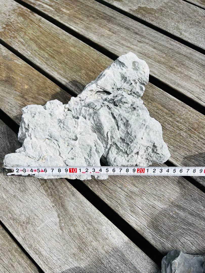 ADA 龍王石　10個セット 12.5kg