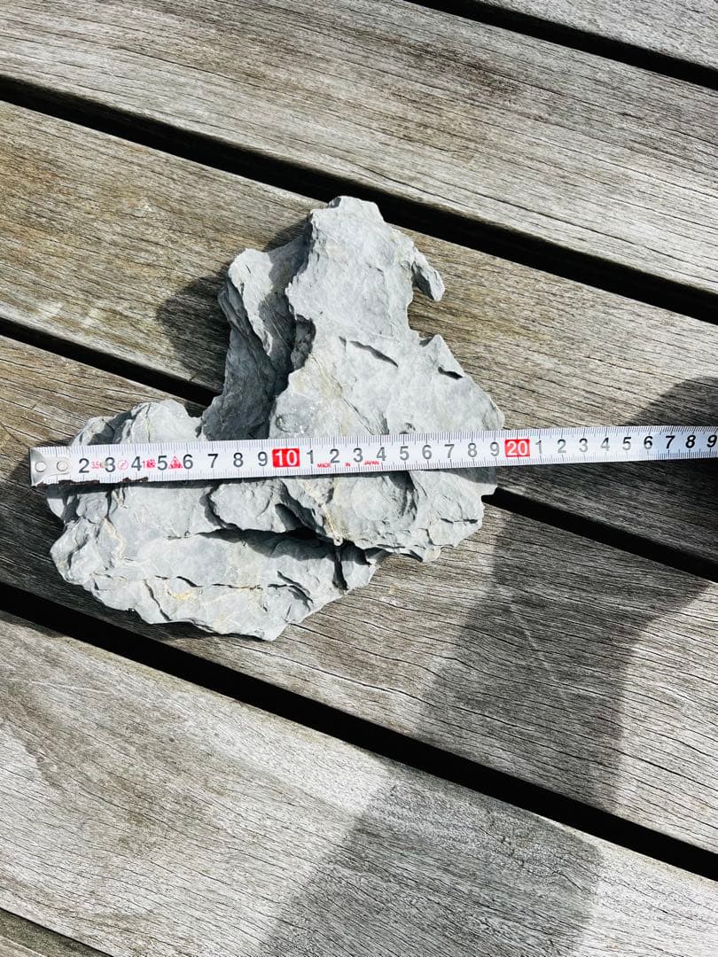 ADA 龍王石　10個セット 12.5kg