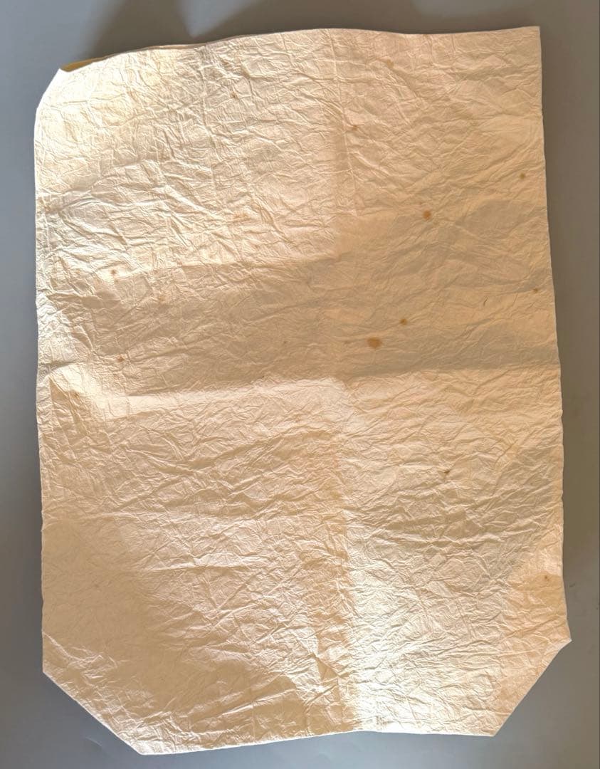 三味線　動物皮　良コンディション　堅牢トランクケース付　フルセット