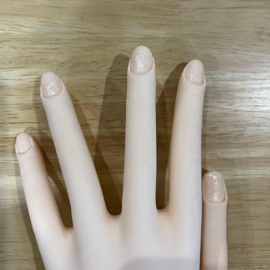 【MOF】JNEC認定 モデルハンド ネイルシート•チップ付き